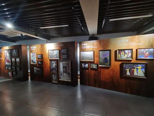 开平市志愿服务总队开展非遗摄影展志愿讲解活动，展现非遗文化魅力