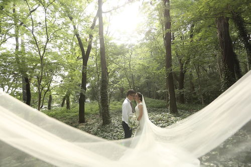 南京随心拍映像 技术粗糙服务差，自封总监实为“光杆司令”