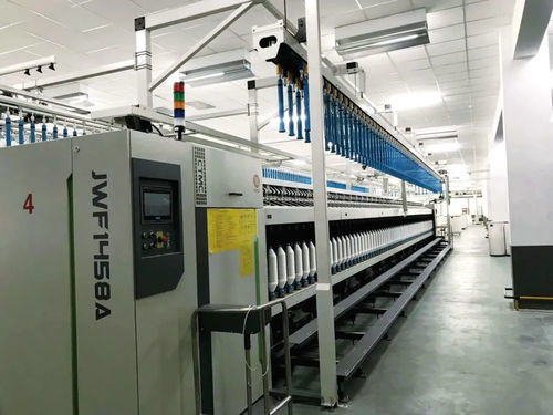 智能化与透明化 摄影服务的未来趋势